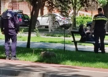 O butelie folosită la executarea unor lucrări de hidroizolații la un bloc a explodat și a sărit pe spațiul verde de pe Bulevardul Independenței