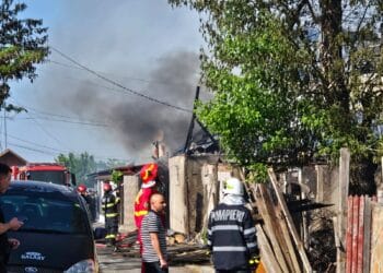 Incendiu în Lacu Dulce