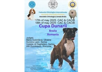 Invitație pentru iubitorii de câini: în perioada 17-18 mai, în stațiunea Lacu Sărat va avea loc Cupa Dunării
