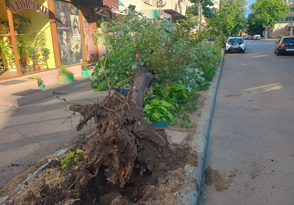 WhatsApp Image 2025 05 19 at 19.51.10 f59e16c5