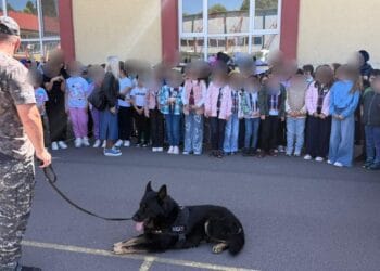 Activitățile desfășurate de polițiștii brăileni în a treia zi a evenimentului național „Săptămâna Școală în Siguranță”