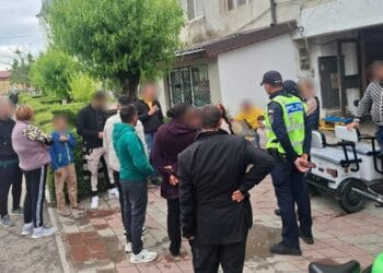 Recomandări făcute de polițiștii brăileni, pentru prevenirea violenței domestice