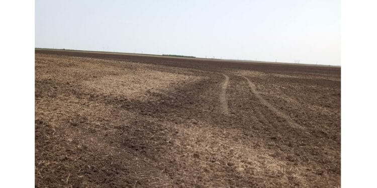 În atenția firmelor din agricultură: arderea miriștilor se sancționează contravențional cu amenzi în cuantum de 50.000 - 100.000 de lei 14 În atenția firmelor din agricultură: arderea miriștilor se sancționează contravențional cu amenzi în cuantum de 50.000 – 100.000 de lei