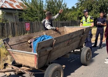 Acțiunile polițiștilor brăileni în ultimele 48 de ore