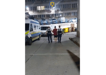 Control judiciar pentru infracțiuni la regimul rutier și încălcarea ordinului de protecție