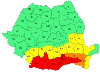 Cod galben de caniculă