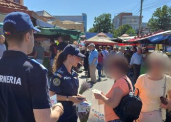 Brățările de monitorizare electronică importante pentru prevenirea violenței domestice