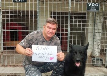 La mulți ani, Gipsy