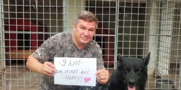 La mulți ani, Gipsy