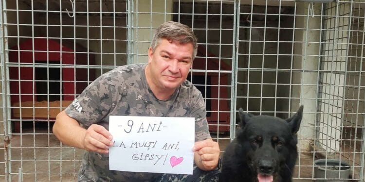 La mulți ani, Gipsy