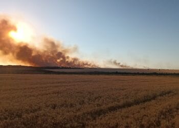 Circa 150 de ha de culturi și miriști de grâu afectate de un incendiu în comuna Siliștea