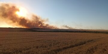 Circa 150 de ha de culturi și miriști de grâu afectate de un incendiu în comuna Siliștea