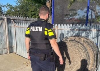 Trei percheziții domiciliare în localitățile Stăncuța și Gura Călmățui