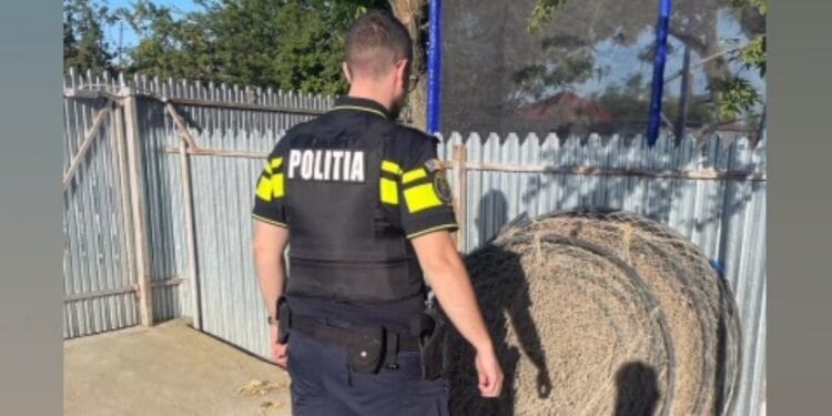 Trei percheziții domiciliare în localitățile Stăncuța și Gura Călmățui