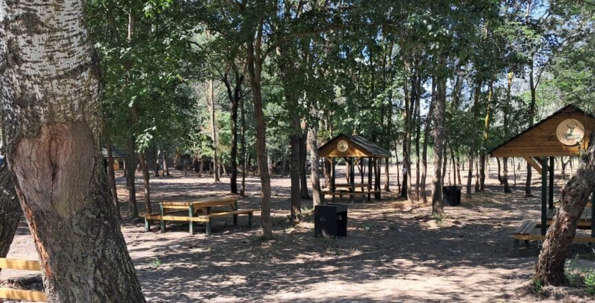 27loc picnic 1000x600 1