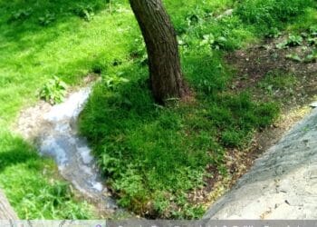 Restaurant de pe Faleza Dunării din Brăila amendat cu 60.000 de lei pentru deversarea de ape uzate în Dunăre
