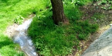 Restaurant de pe Faleza Dunării din Brăila amendat cu 60.000 de lei pentru deversarea de ape uzate în Dunăre