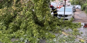 Galerie foto: Furtuna a făcut prăpăd în Brăila. Copaci puși la pământ, mașini avariate și o conductă de gaze fisurată