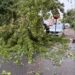 Galerie foto: Furtuna a făcut prăpăd în Brăila. Copaci puși la pământ, mașini avariate și o conductă de gaze fisurată