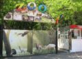 Raport devastator al Curții de Conturi la ECO SA Brăila: Achiziții netransparente, litigii ascunse și concedii compensate ilegal