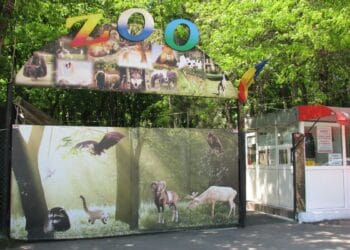 Raport devastator al Curții de Conturi la ECO SA Brăila: Achiziții netransparente, litigii ascunse și concedii compensate ilegal