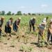 Acuzații grave de exploatare a minorilor la o fermă agricolă