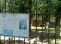 GRĂDINA ZOOLOGICĂ  A LĂSAT LUPUL CENUȘIU SĂ MOARĂ, PISICĂ „TOARCE” LINIȘTIT