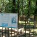 GRĂDINA ZOOLOGICĂ  A LĂSAT LUPUL CENUȘIU SĂ MOARĂ, PISICĂ „TOARCE” LINIȘTIT