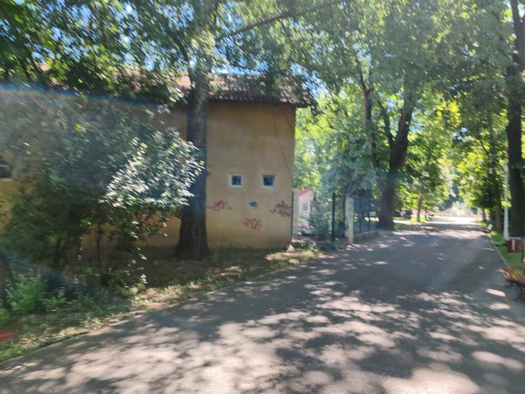 Ruină în inima orașului: Baza sportivă din Grădina Publică Brăila, abandonată și invadată de buruieni 20 WhatsApp Image 2026 06 20 at 23.28.25 9