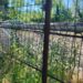 Ruină în inima orașului: Baza sportivă din Grădina Publică Brăila, abandonată și invadată de buruieni