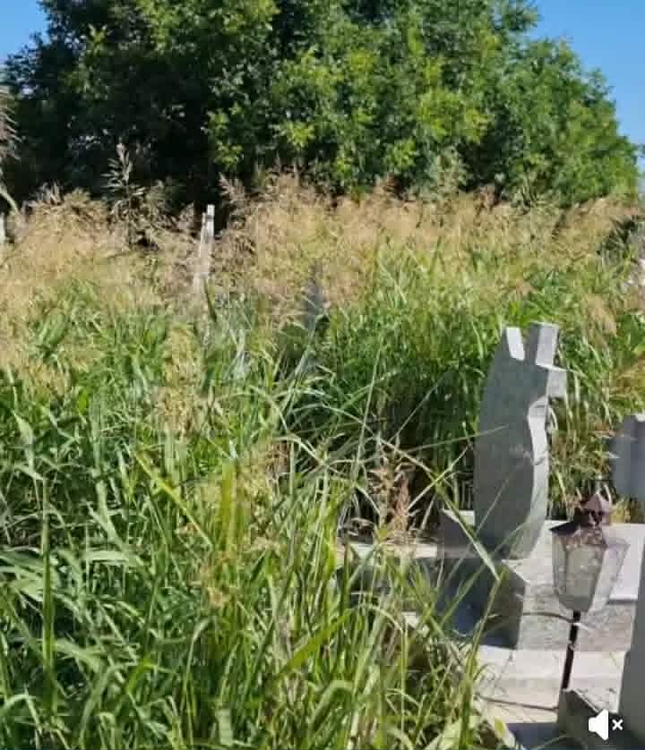 cimitir trei