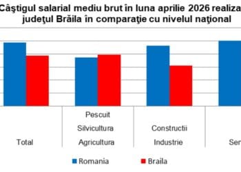 Decalaj salarial semnificativ: Brăilenii câștigă mult mai puțin decât media națională. Singura excepție este Agricultura 23 Decalaj salarial semnificativ: Brăilenii câștigă mult mai puțin decât media națională. Singura excepție este Agricultura