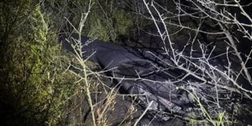 O dronă a pătruns în spațiul aerian românesc și s-a prăbușit în județul Tulcea
