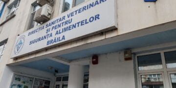 Dezastru sanitar și mușamalizare la Măxineni. Conducerea DSVSA Brăila demisă în urma dezvăluirilor lui Cătălin Chivu