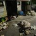 Opiniile brăilenilor sunt ignorate de primarul Dragomir, gunoiul stă neridicat zile în șir, iar drumurile neterminate, tratate cu indiferență 2 Opiniile brăilenilor sunt ignorate de primarul Dragomir, gunoiul stă neridicat zile în șir, iar drumurile neterminate, tratate cu indiferență