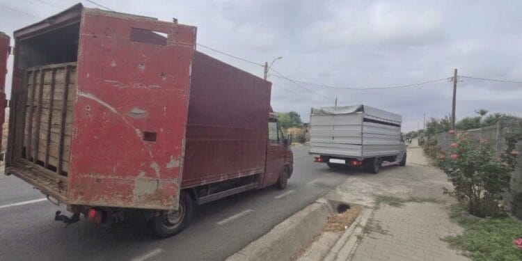 Peste 100 de specialiști ANSVSA, jandarmi și polițiști mobilizați în județul Tulcea: Două transporturi ilegale de animale au fost depistate în primele ore ale acțiunii de control pe drumurile publice 14 Peste 100 de specialiști ANSVSA, jandarmi și polițiști mobilizați în județul Tulcea: Două transporturi ilegale de animale au fost depistate în primele ore ale acțiunii de control pe drumurile publice
