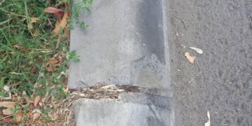 Borduri „lipite” de ploaie? Cine răspunde pentru lucrările de pe strada Școlilor ? Dragomire,  motto ul tău din campaniile electorale : “ Eu asfaltez “, a plecat pe Dunăre