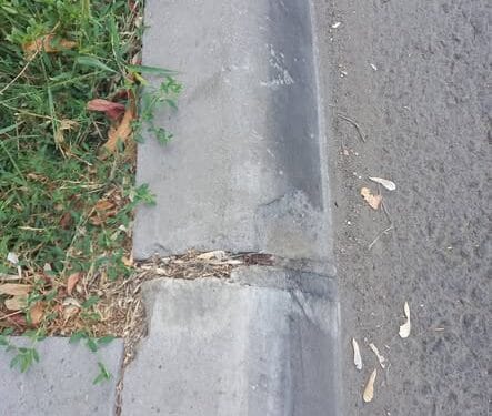 Borduri „lipite” de ploaie? Cine răspunde pentru lucrările de pe strada Școlilor ? Dragomire,  motto ul tău din campaniile electorale : “ Eu asfaltez “, a plecat pe Dunăre