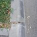 Borduri „lipite” de ploaie? Cine răspunde pentru lucrările de pe strada Școlilor ? Dragomire,  motto ul tău din campaniile electorale : “ Eu asfaltez “, a plecat pe Dunăre