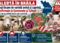 Două focare de variolă ovină și caprină confirmate în Brăila. Ce restricții s-au impus