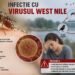 Trei noi cazuri confirmate de infectare cu virusul West Nile. O pacientă a ajuns la Terapie Intensivă